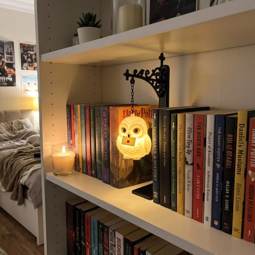 🦉Enchanted Hanging Owl Bookshelf Light – Glowing Book Nook Decor for Readers📖✨