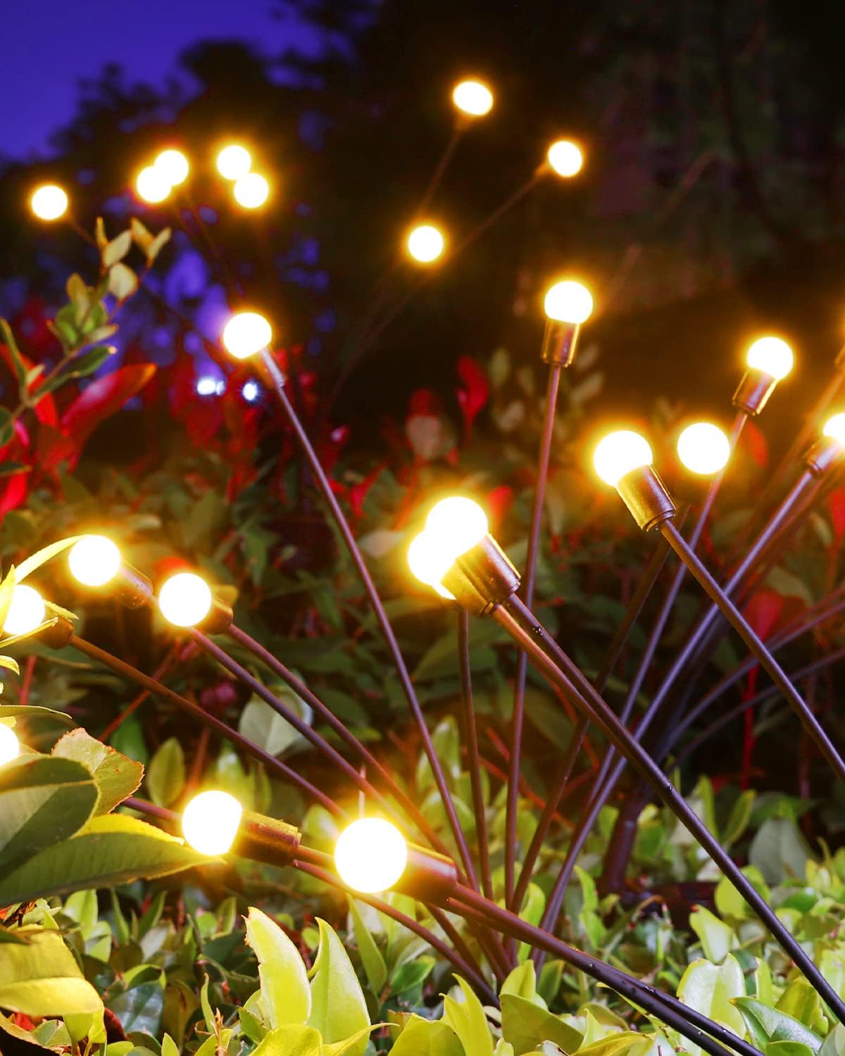 One Piece(10 BULBS)