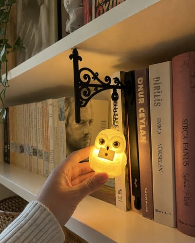 🦉Enchanted Hanging Owl Bookshelf Light – Glowing Book Nook Decor for Readers📖✨