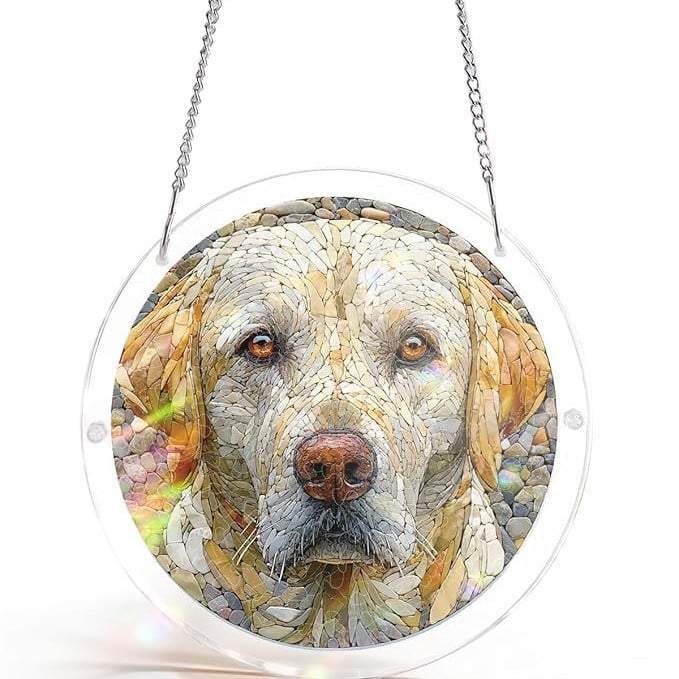 Acrylic Jigsaw Puzzle Suncatcher 80 Pieces