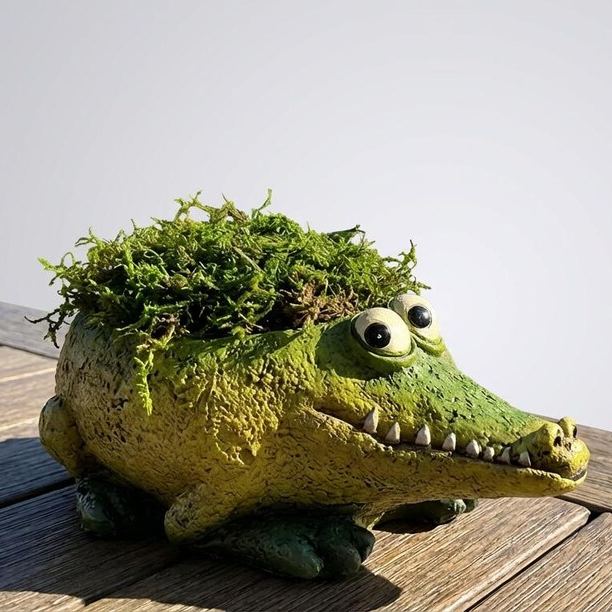 🌱Funny Cute Animal Planter Collection
