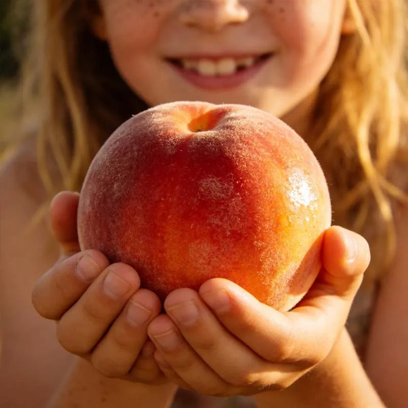 🔥 65K+ SOLD! 🍑 Heirloom "Honey Red" Dwarf Peach Tree Live Seeds-9YOE9